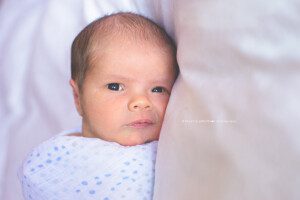 alliston newborn photographer
