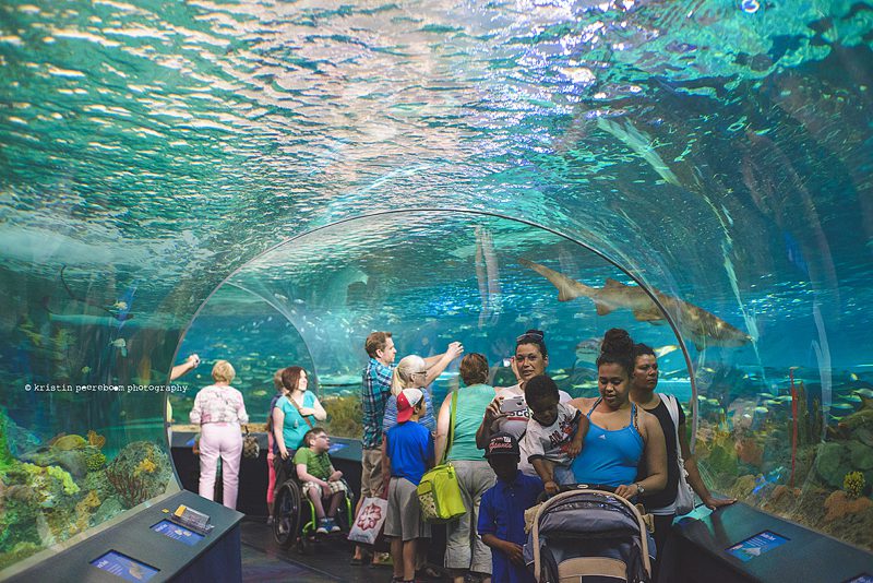 toronto ontario family photographer, ripley's aquarium