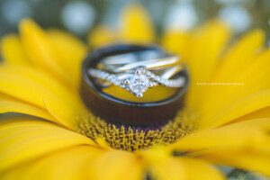 freelton wedding photographer, alliston wedding photographer