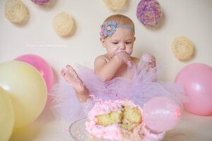 alliston cake smash - alliston photographer, barrie photographer, first year photos, alliston cake smash photographer