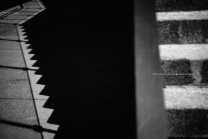 barrie photographer, alliston photographer, kitchener street photographer