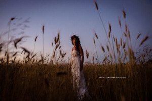 barrie wedding photographer, alliston wedding photographer