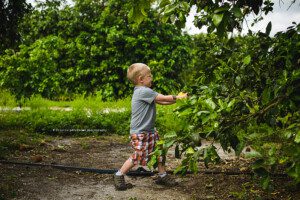 alliston photographer, barrie photographer
