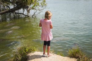 alliston photographer, barrie photographer