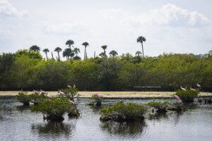 alliston photographer, barrie photographer