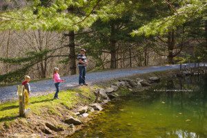 alliston photographer, barrie photographer
