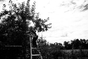 barrie photographer, alliston photographer