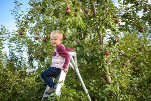 barrie photographer, alliston photographer