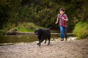 alliston family photographer, barrie photographer