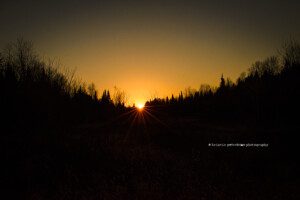 alliston family photographer