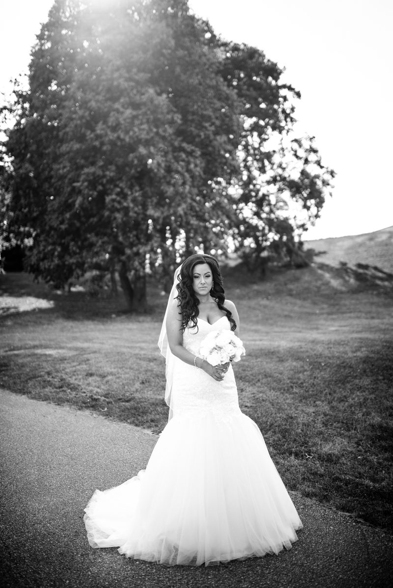 woodbridge wedding photographer, alliston wedding photographer