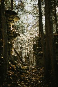 alliston photographer
