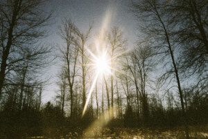 winter sun light