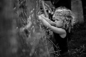 alliston family photographer, alliston photographer