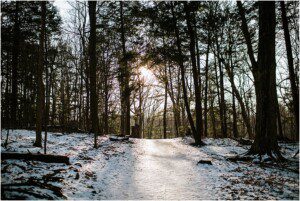 hamilton photographer, dundas valley conservation