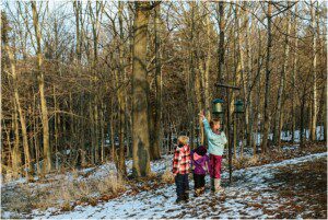 hamilton photographer, dundas valley conservation