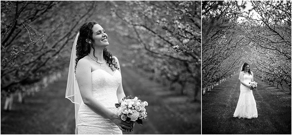 Niagara Wedding, Niagara Wedding Photographer